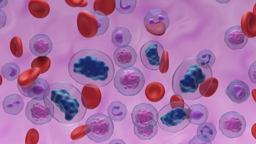 High Throughput Single-Cell Metabolomics
