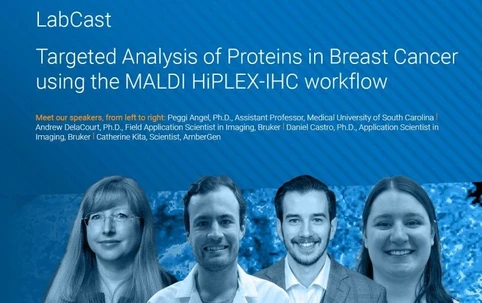 LabCast: Targeted Analysis of Proteins in Breast Cancer using the MALDI HiPLEX-IHC workflow