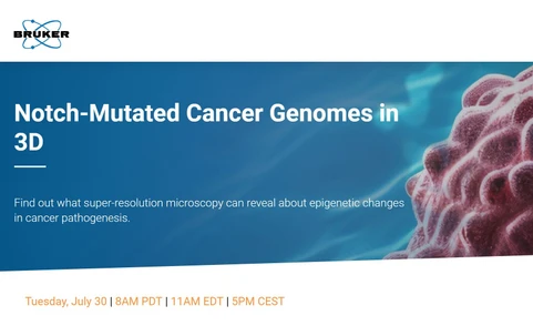 Notch-Mutated Cancer Genomes in 3D