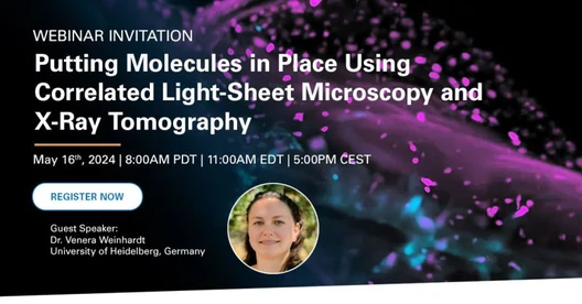 Putting Molecules in Place Using Correlated Light-Sheet Microscopy and X-Ray Tomography