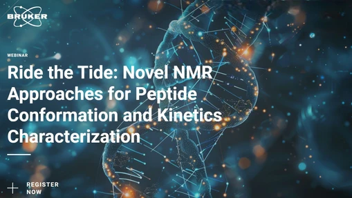 Ride the Tide: Novel NMR Approaches for Peptide Conformation and Kinetics Characterization