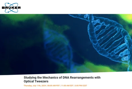 Studying the Mechanics of DNA Rearrangements with Optical Tweezers