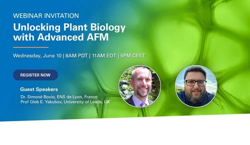 Unlocking Plant Biology with Advanced AFM