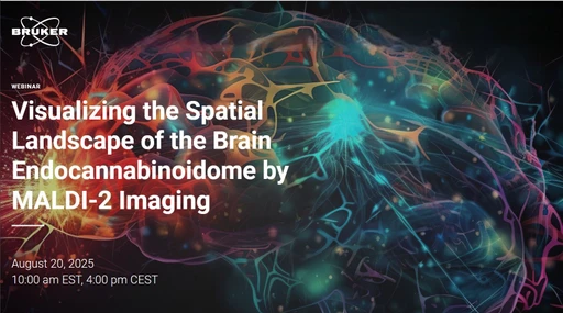 Visualizing the Spatial Landscape of the Brain Endocannabinoidome by MALDI-2 Imaging 