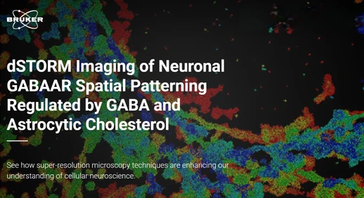 dSTORM Imaging of Neuronal GABAAR Spatial Patterning Regulated by GABA and Astrocytic Cholesterol