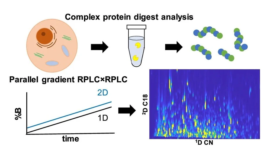 <ul>
<li><strong>Photo:</strong> CAST: Parallel Gradients 2DLC-HRMS of complex protein digest.</li>
</ul>

