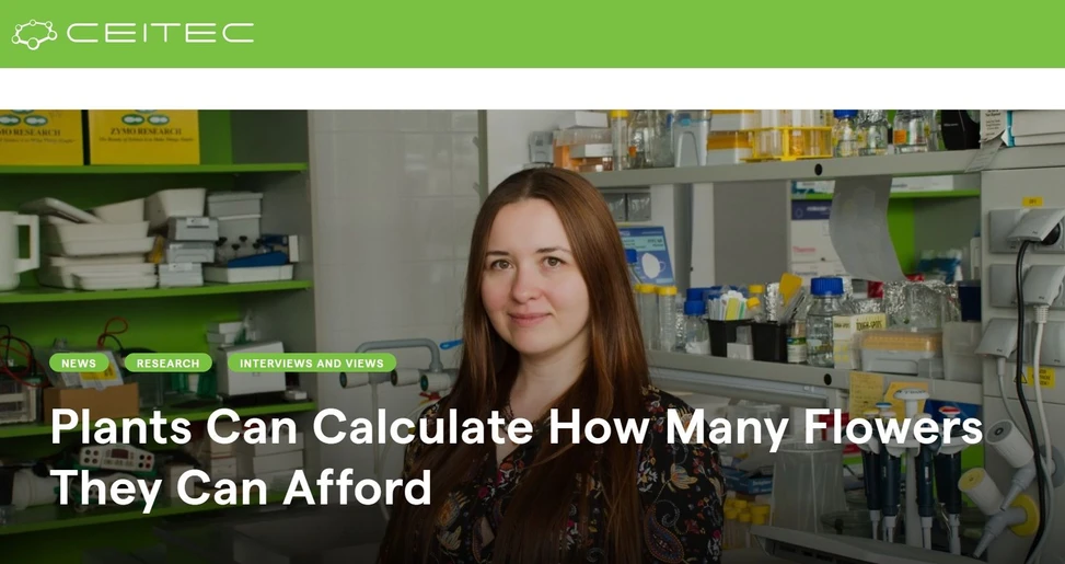 <p><strong>CEITEC: </strong>Plants Can Calculate How Many Flowers They Can Afford</p>