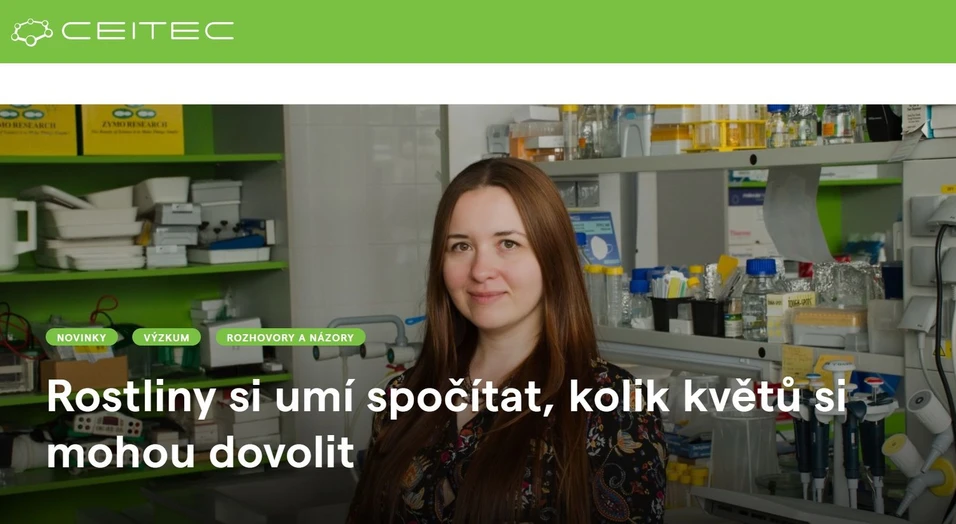 <p><strong>CEITEC: </strong>Rostliny si umí spočítat, kolik květů si mohou dovolit</p>