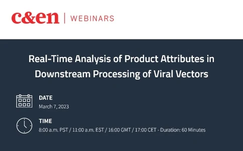 Real-Time Analysis of Product Attributes in Downstream Processing of Viral Vectors