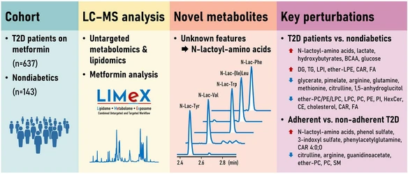 Untargeted Metabolomics Identifies N-Lactoyl-Amino Acids as Dose-Responsive Plasma Biomarkers of Metformin Adherence in Type 2 Diabetes