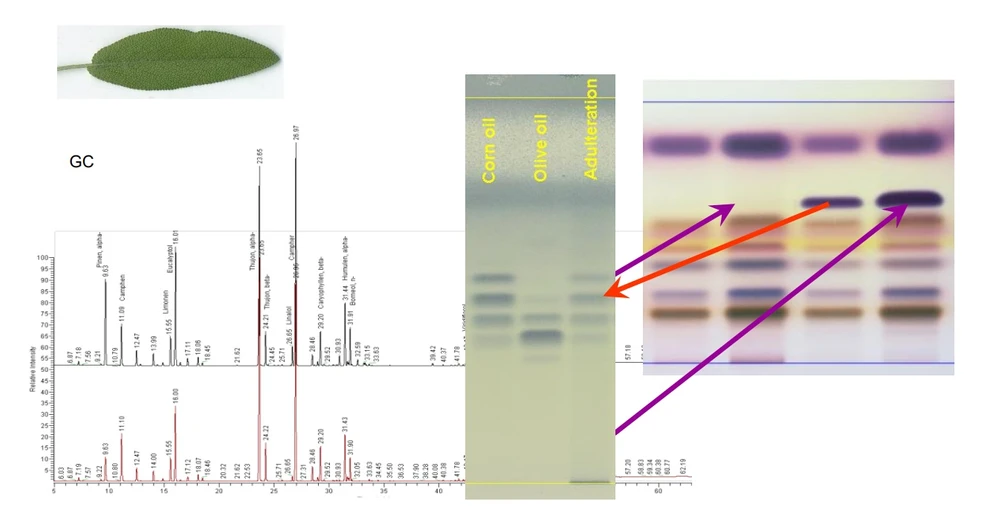 DONAU LAB: Botanical & Pharma – Falsification of Sage oil