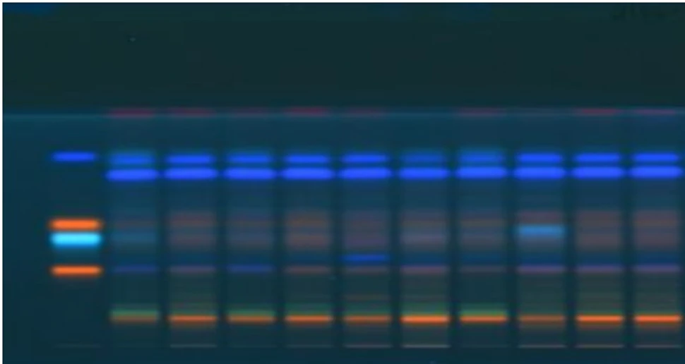 DONAU LAB: Why Thin Layer Chromatography
