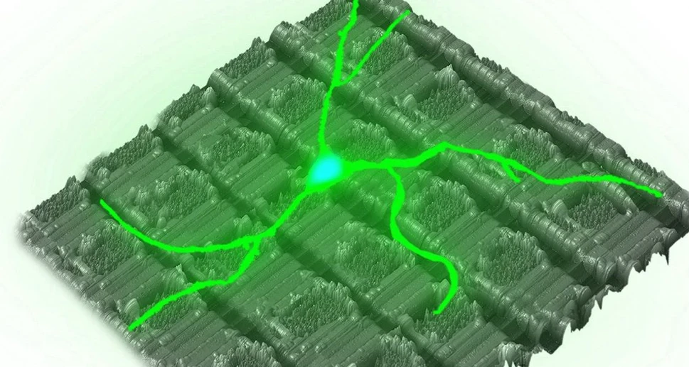 ETH Zurich: Studying the mechanosensitivity of neurons at nano-scale.