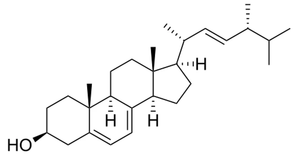 Ergosterol – zdroj vitaminu D₂ (houby, S.cerevisiae)