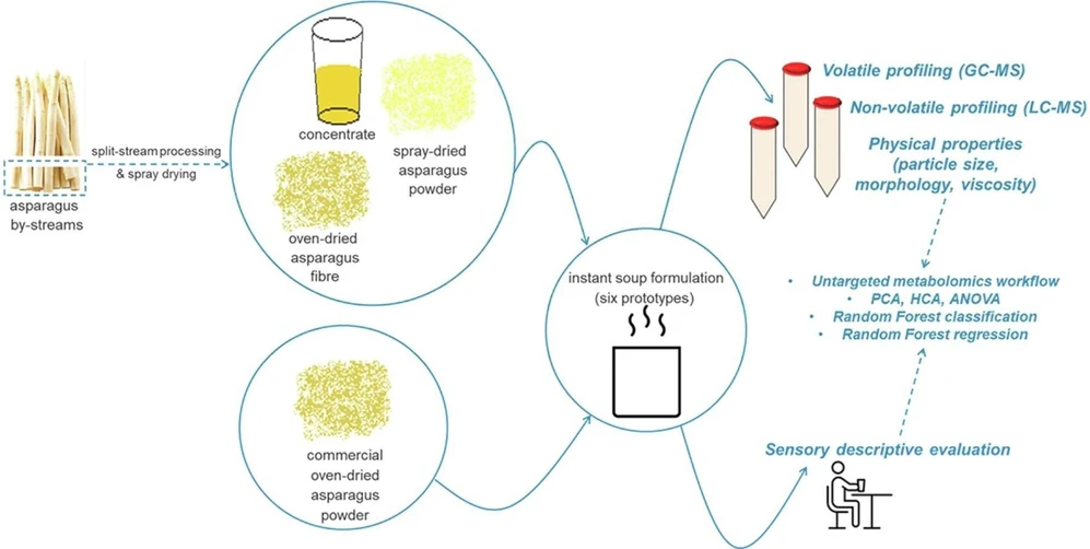 <ul><li><strong>Photo:</strong> Food Chemistry, Volume 406, 2023, 134986: Graphical abstract.</li></ul>