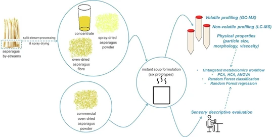 Metabolomics and sensory evaluation of white asparagus ingredients in instant soups unveil important (off-)flavours