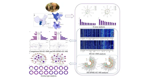 Identification of characteristic flavor compounds of boletus edulis from different regions based on by E-nose, HS-GC-IMS and HS-SPME-GC–MS