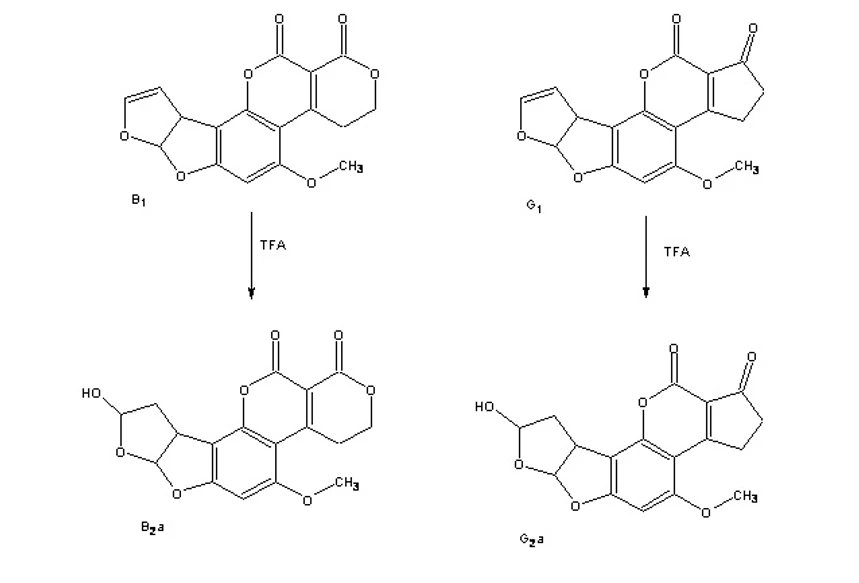 HPLC.cz: Fotochemická derivatizace při stanovení aflatoxinů