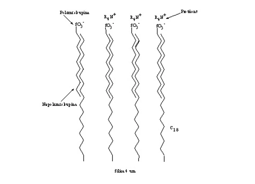 HPLC.cz: Obrázek č. 2 Model dynamické iontové chromatografie