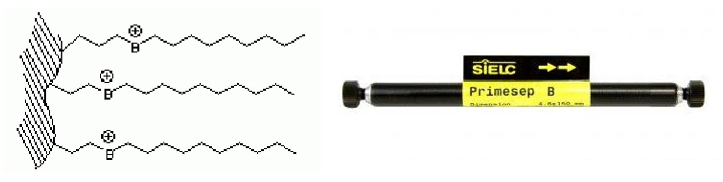 HPST: HPLC kolony SIELC Primesep B