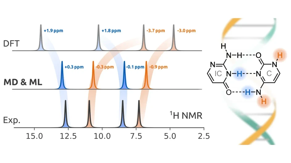 IOCB Prague: Accurate NMR chemical shifts through machine-learned dynamics: A new computational approach developed by scientists led by Martin Dračínský from IOCB Prague addresses addresses often overlooked issues with simplified conventional DFT calculations. Nat. Commun. 2026, 17, 8842.