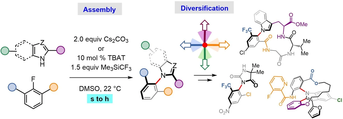 IOCB Prague: Chemists unlock shortcuts to unique locked molecules