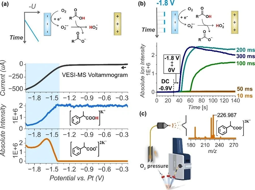 J. Am. Chem. Soc. 2025, 147, 41, 36975–36979: Figure 2. (a) Proof of concept: oxygen reduction at the electrode leads to carboxylic acid deprotonation. (b) Tuning the reduction pulse length for the maximum carboxylate formation. (c) VESI-MS setup.
