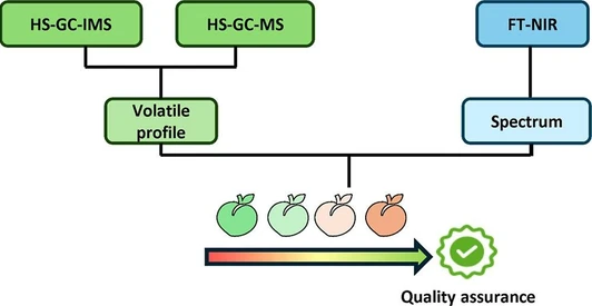 Fingerprinting of Peach During the Ripening Process Using an Analytical Platform with Spectrometric and Volatilome-Based Chromatographic Techniques