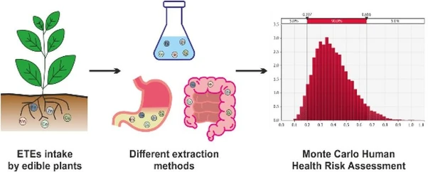 Essential Trace Elements in Edible Plants: Balancing Nutritional Benefits and Potential Health Risks