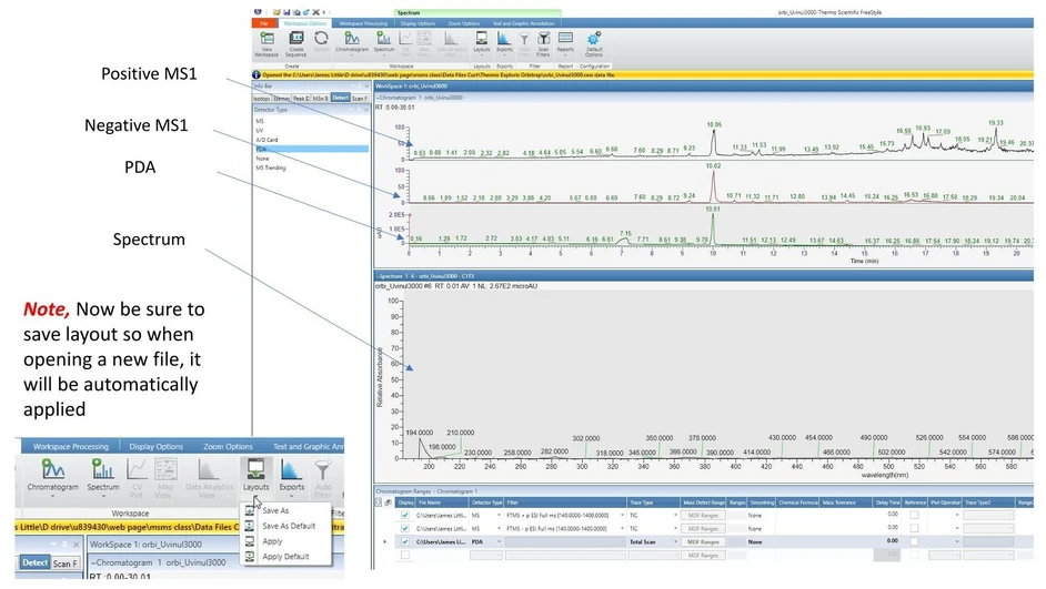 James Little: Step 3 - Processing MSMS Data
