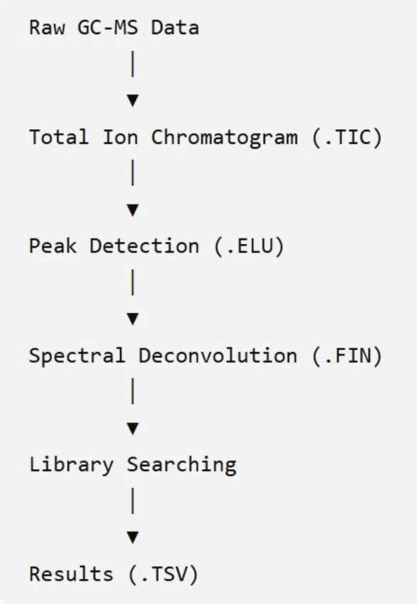 James Little: The Low-Resolution EI GC-MS Processing Workflow