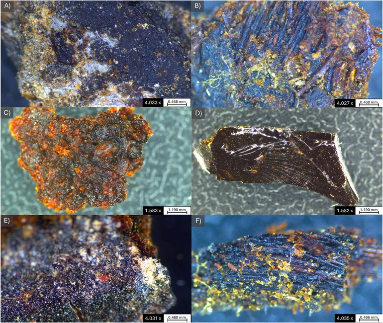 Journal of Archaeological Science, 2026, 106594, Volume 191: Fig. 1. Digital microscope images of some of the mummification balms of the MAMF collection. A) MAMF1, B) MAMF2, C) MAMF3, D) MAMF4, E) MAMF5, F) MAMF7.