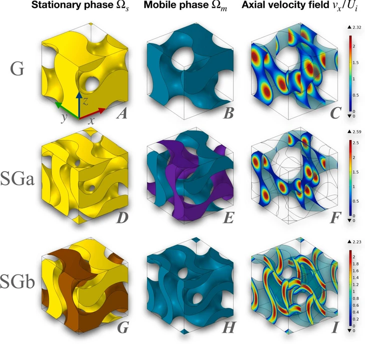 <p><strong>Journal of Chromatography A, Volume 1743, 2025, 465676:</strong> Fig. 1. Strut-based Gyroid (G) and sheet-based Gyroids (SGa and SGb): stationary phase (A,D,G), mobile phase (B,E,H) and normalized axial component of the fluid velocity field (C,F,I), being the seepage (interstitial) velocity along x.</p>