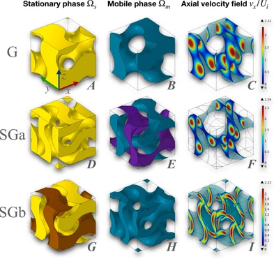 Dispersion properties of triply periodic minimal surface stationary phases for LC: The case of superficial adsorption