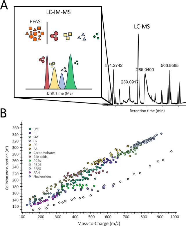 Journal of Chromatography A, Volume 1744, 2025, 465728: Fig. 5. A) Enhanced chromatographic resolution and spectral quality using LC-IMS-HRMS-based approaches in exposomics. B) Endogenous molecules and halogenated compounds show distinct m/z x CCS patterns due to the increased m/z of halogens compared to hydrogens, despite slight size difference. Adapted with permission from reference [97]. Copyright (2022) American Chemical Society.