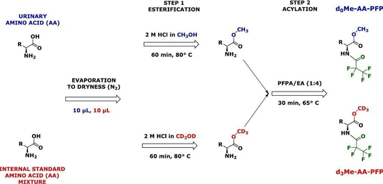 Quality control in GC–MS analysis of amino acids in human urine and plasma: Possible implications for targeted and untargeted metabolomics