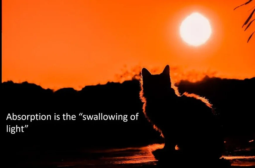 KNAUER: Figure 10 - The cat actually absorbs all the light, but its outline still lets us know that there’s a fluffy cat sitting there. In HPLC, a[SD5.1] molecule’s light absorption also tells us a great deal about its identity.
