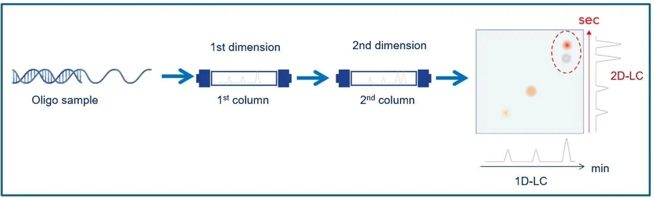 KNAUER: Figure 1 - 2D-LC Principle (Graphic by KNAUER).
