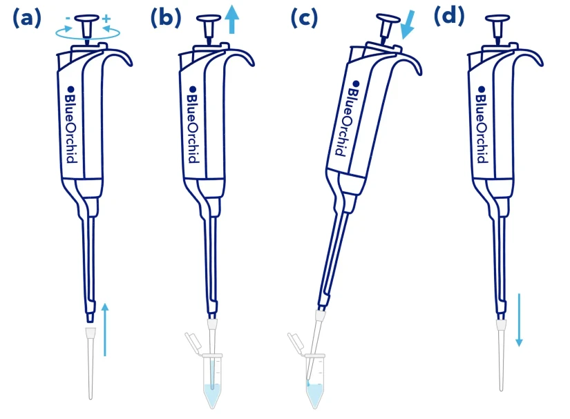 KNAUER: Figure 1 - The Pipetting Cycle