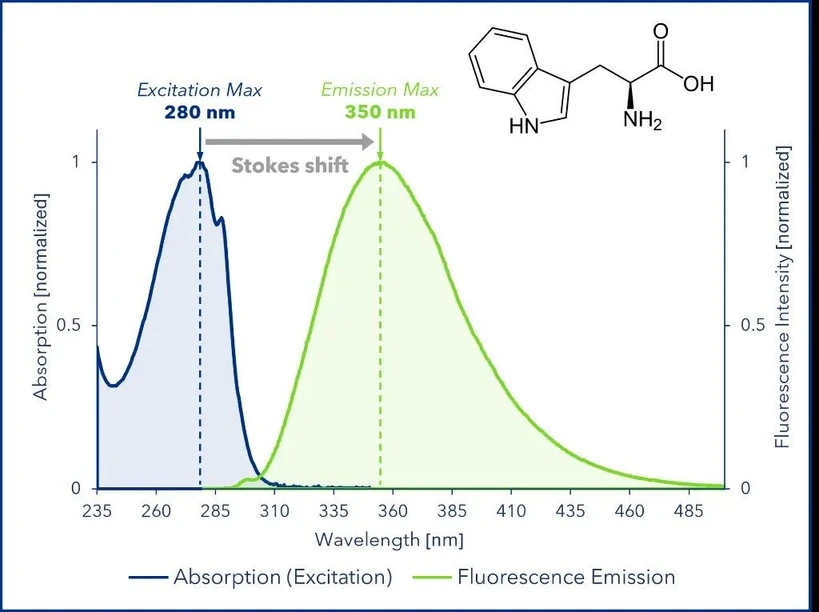 KNAUER: Figure 3: Absorption and emission spectra of tryptophan.