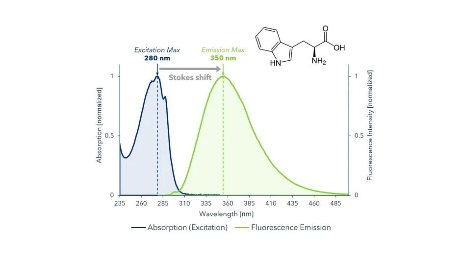 <p>KNAUER: Figure 3: Absorption and emission spectra of tryptophan</p>