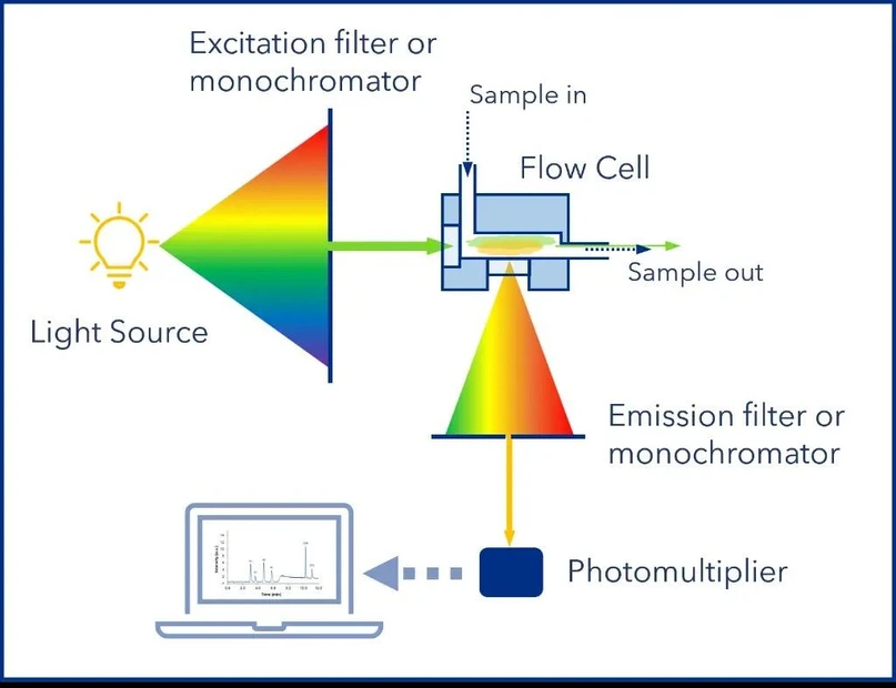 KNAUER: Figure 5: Schematic of a fluorescence detector.