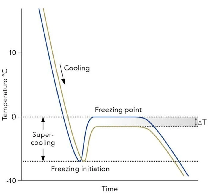 KNAUER: Temperature curves of freezing point measurements. The sample is cooled down below 0 °C but still remains fluid (super cooling). At a predefined temperature the freezing process is initialized and after a short increase the temperature equilibrates at the true freezing point of the sample. While pure water freezes at 0 °C (blue), the presence of any solutes depresses a samples freezing point (yellow), which directly correlates with its osmolality.