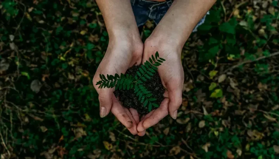 KNAUER / unsplash.com: Sustainability