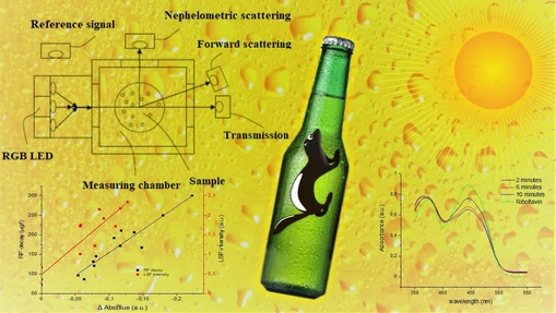 Direct detection of beer photodegradation in commercial bottles and introduction of a new Light-Struck Flavour Susceptibility Index
