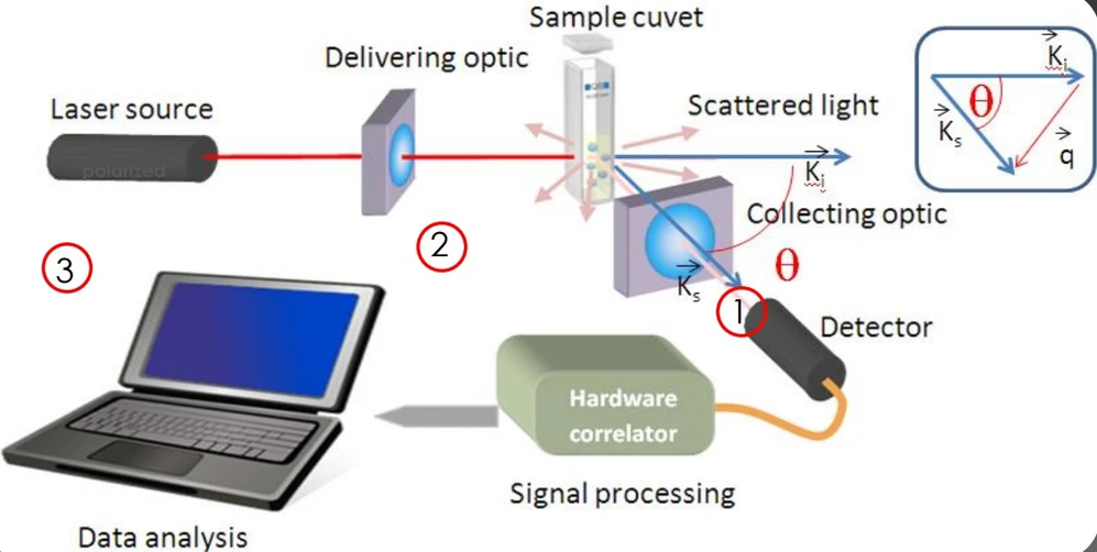 Pragolab: DL measurement Principle