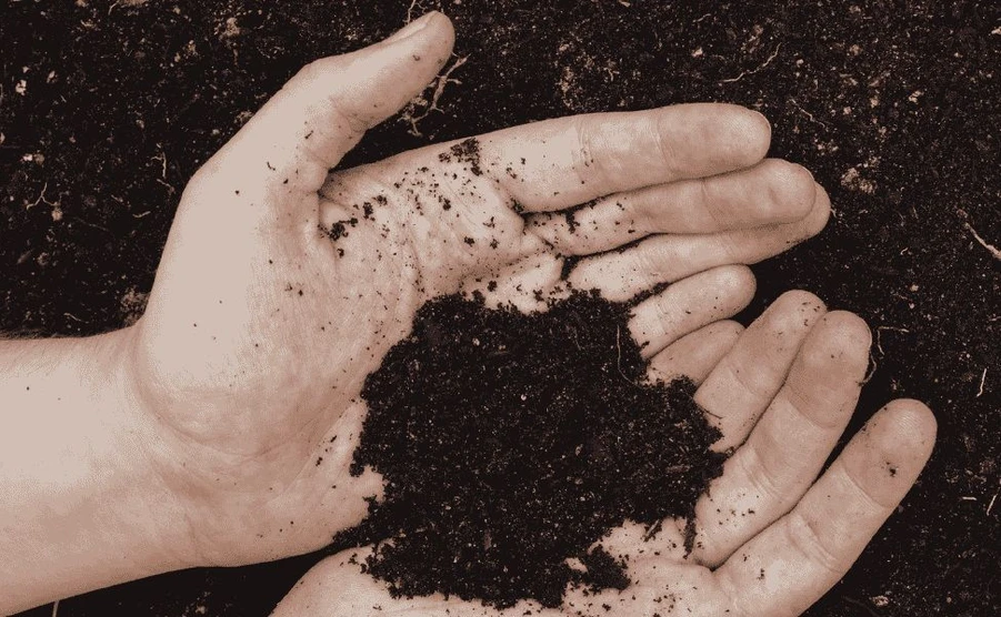 <p><strong>LECO: </strong>Gain Confidence in Your Total Organic Carbon (TOC) Data</p>
