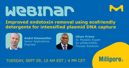 Improved endotoxin removal using ecofriendly detergents for intensified plasmid DNA capture
