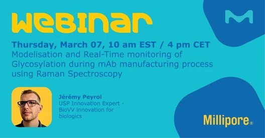 Modelisation and Real-Time monitoring of Glycosylation during mAb manufacturing process using Raman Spectroscopy