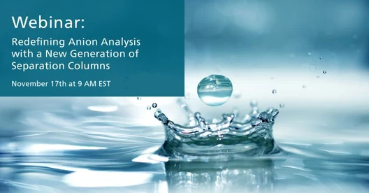 Redefining anion analysis with a new generation of separation columns